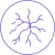 sp2
